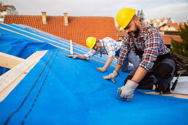 Best Roof Gutter Cleaning  in Claxton, GA