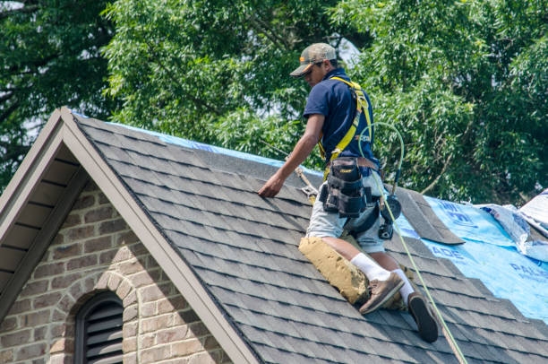 Best Storm Damage Roof Repair  in Claxton, GA